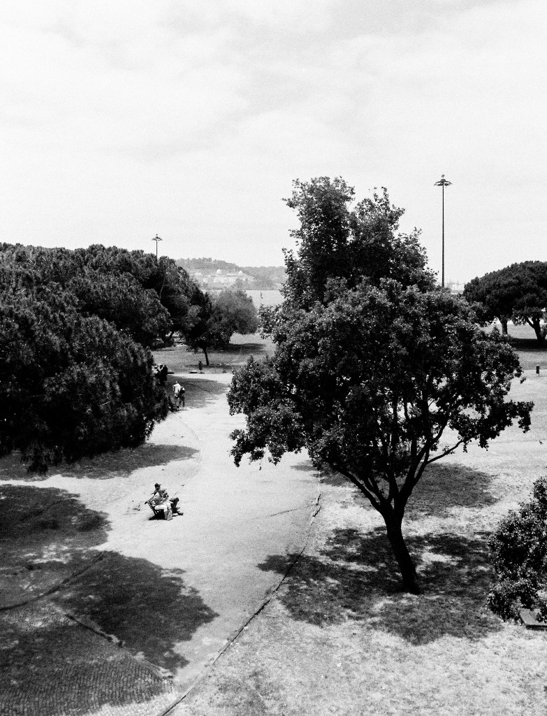 Black and white. One person sitting on a sandy path among dark shrubs, seen from above.