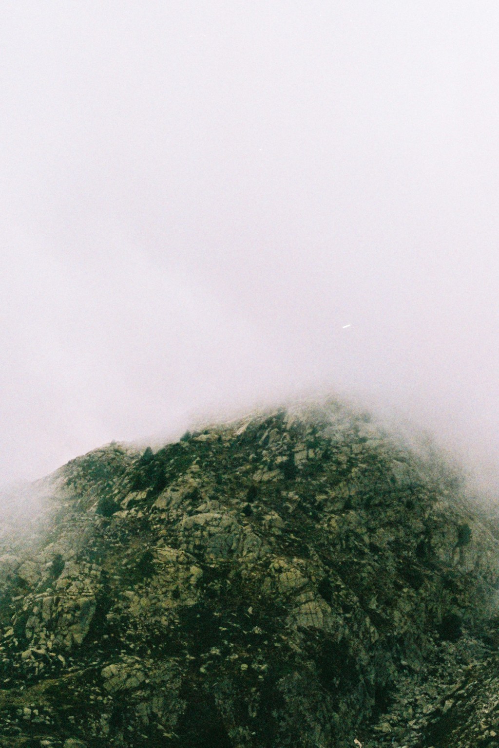 A rounded green summit disappearing into pale cloud.