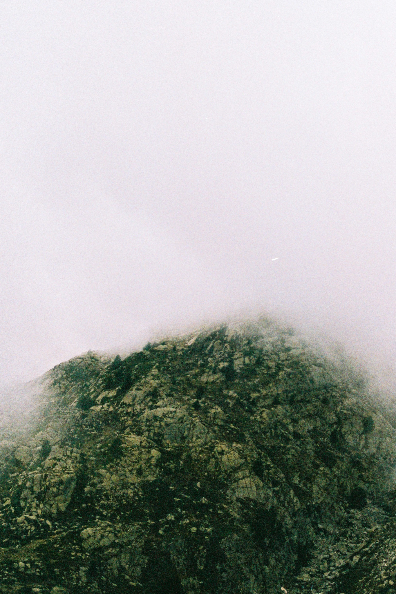 A rounded green summit disappearing into pale cloud.