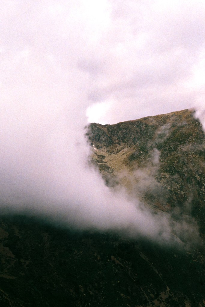 Pale pink cloud spilling down a steep green mountainside.
