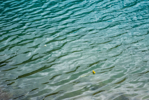 Creating Words in&nbsp;Chemistry